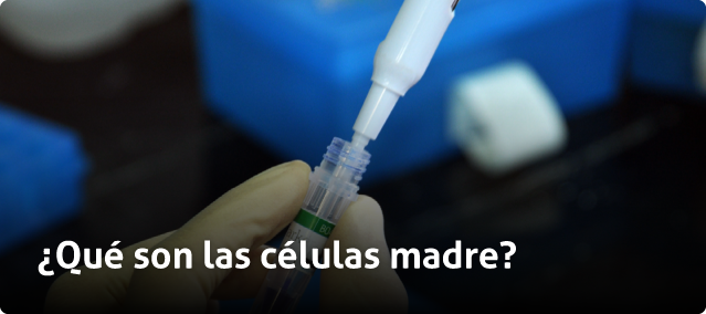 celulas_madre